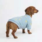 Smiley Daily Dog Sweater