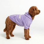 NY Street Pup Hoodie - Lavender