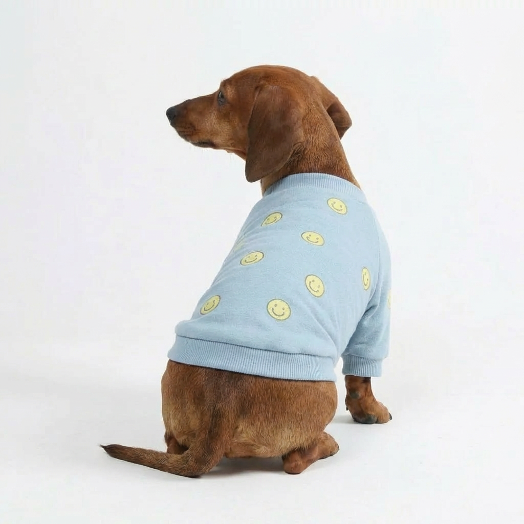 Smiley Daily Dog Sweater