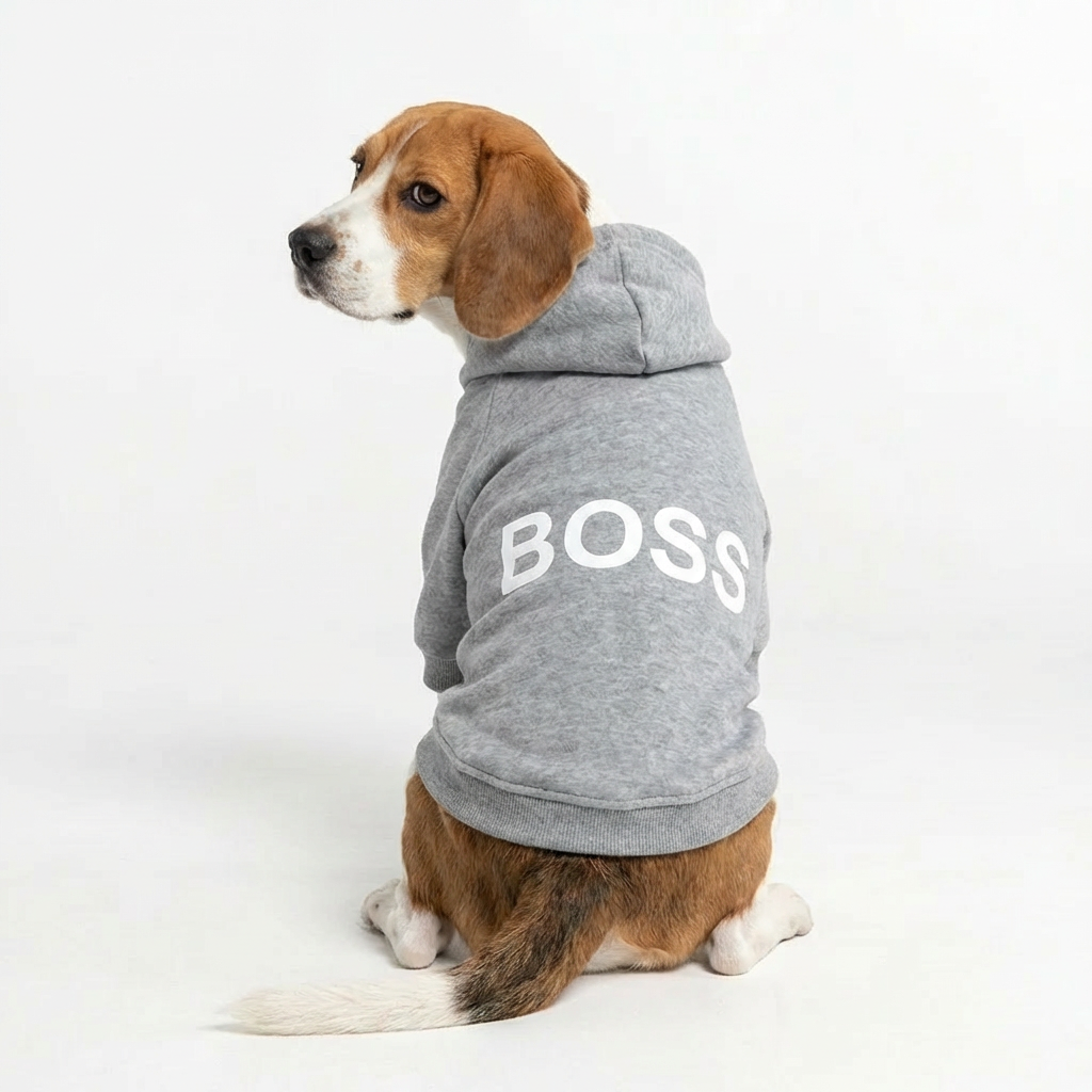 Boss Dog Hoodie – Grey